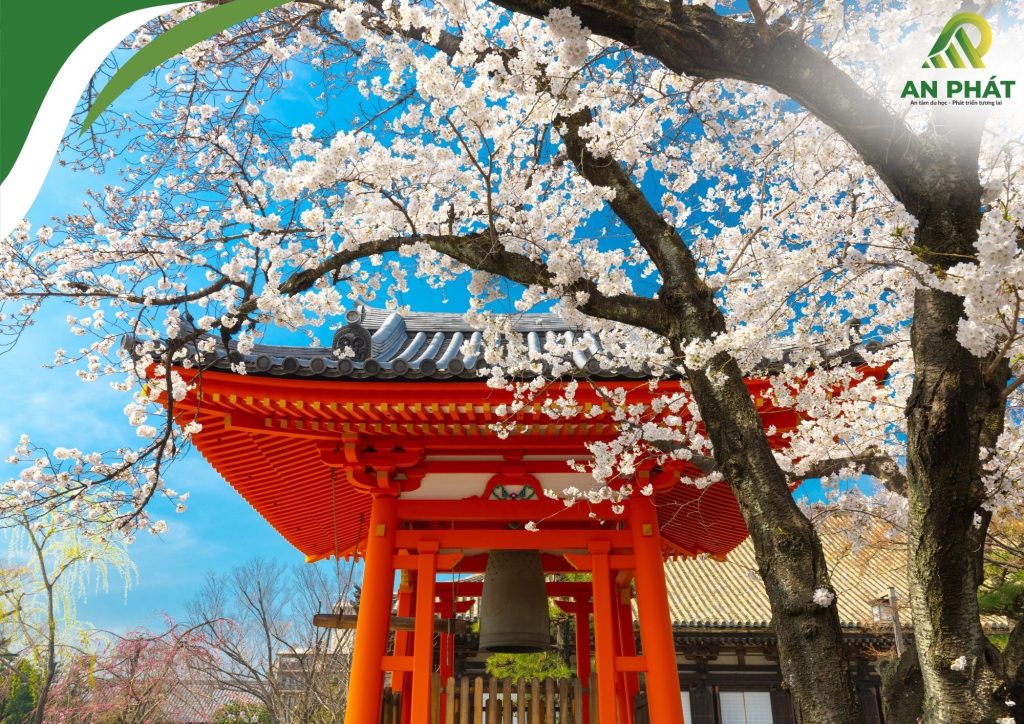 Tìm hiểu văn hóa Nhật Bản 