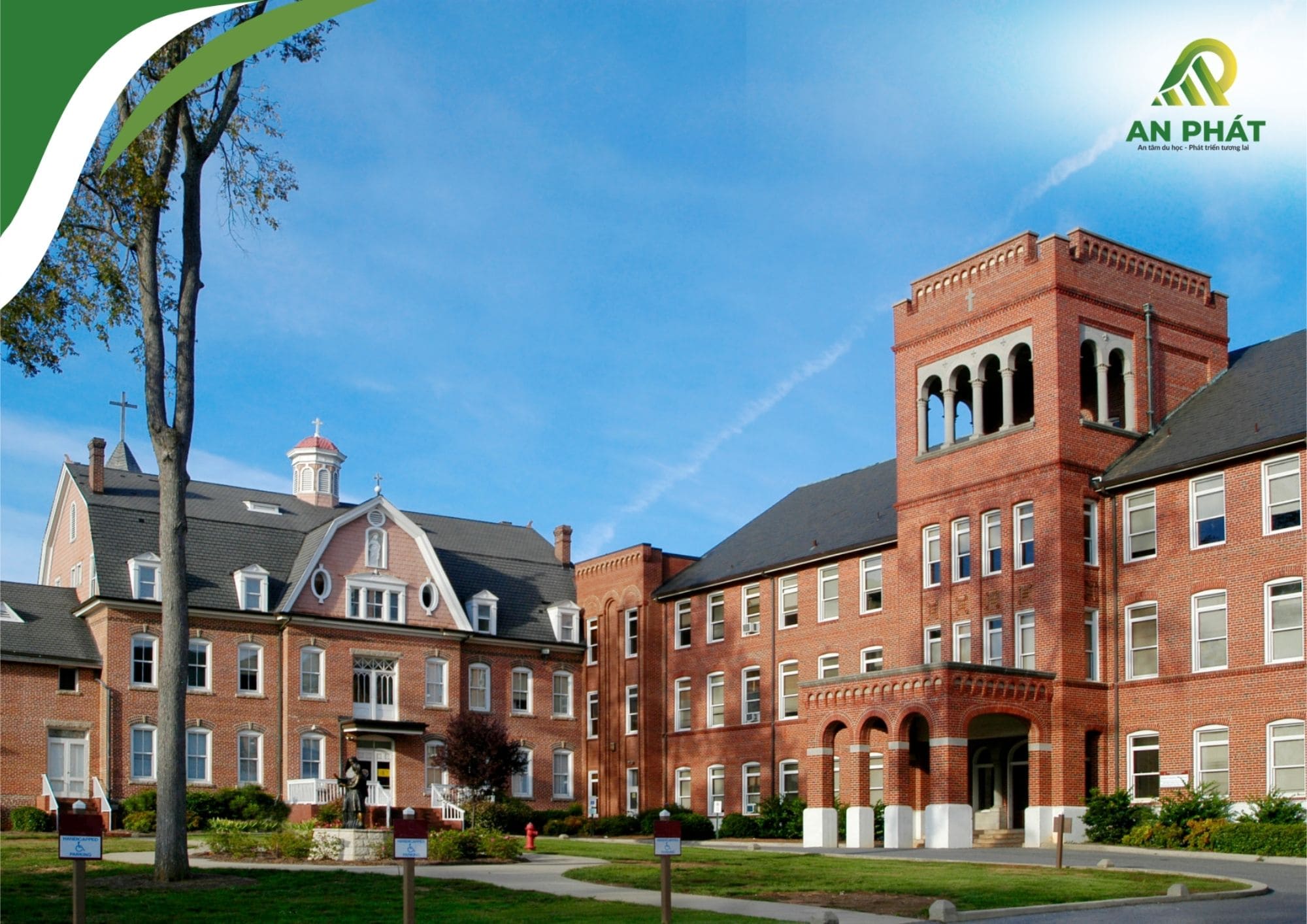 Top Các Trường Senmon Nhật Bản Hàng Đầu Theo Ngành