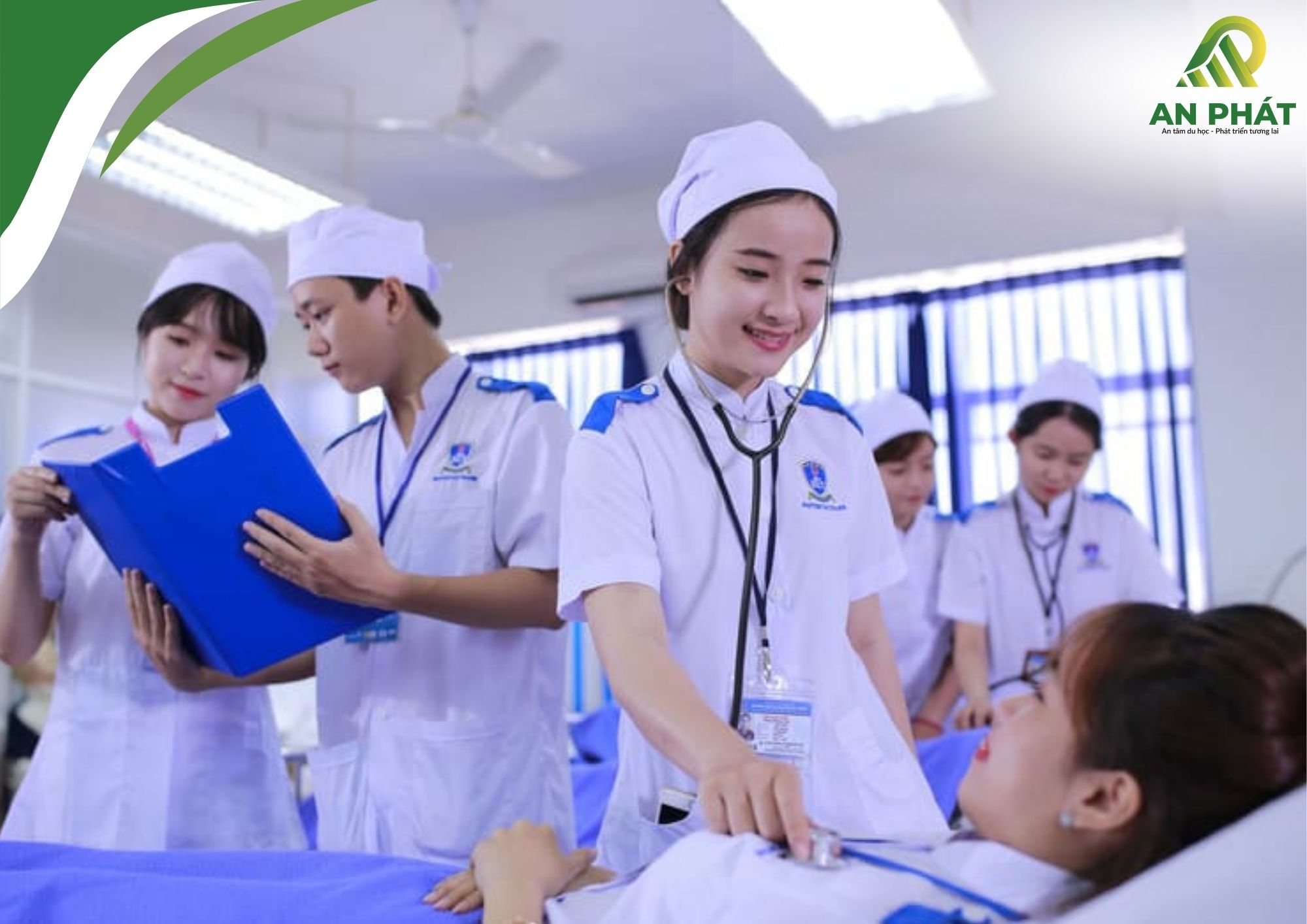 An Phát định hướng: Chi tiết từng hình thức và điều kiện của các loại du học Nhật Bản