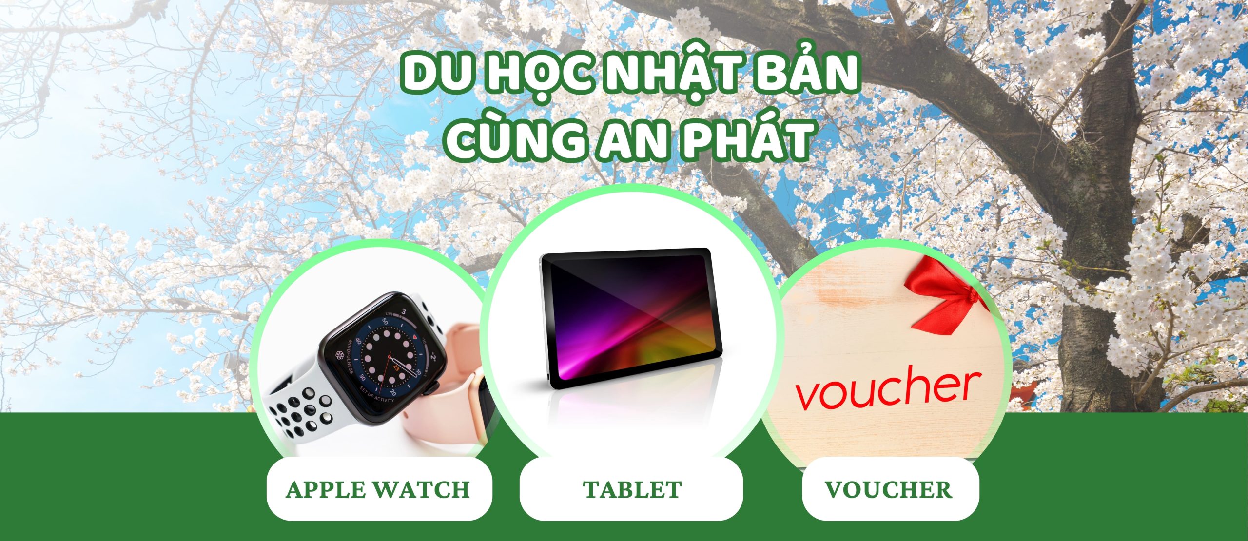 Du học Nhật Bản An Phát