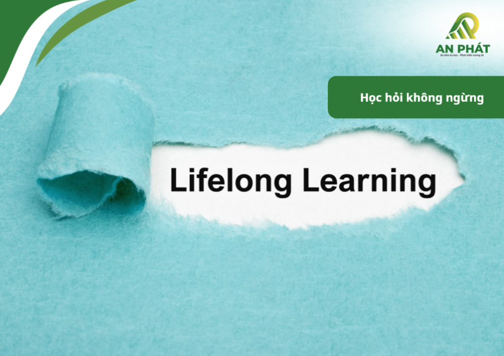 Trang bị bộ kỹ năng sống này, bạn có thể phát triển vượt bậc sau 2–3 năm ở Nhật